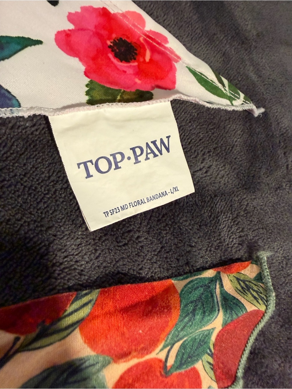 🐶🐶 Set of 2: The Foggy Dog & Top Paw Bandanas - Picture 8 of 14
